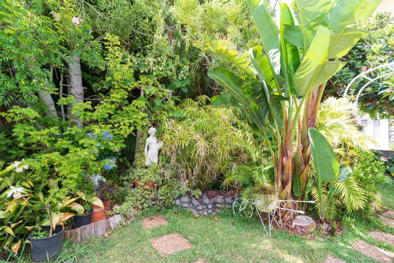 Cyane & Vigo'S Cottage, Caminho Do Massapez, N.º40 Arco da Calheta (Madeira) Exterior photo